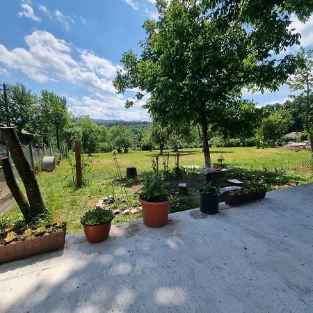 Casa Primitoare In Inima Naturii Si Padurii Rasca  Экстерьер фото