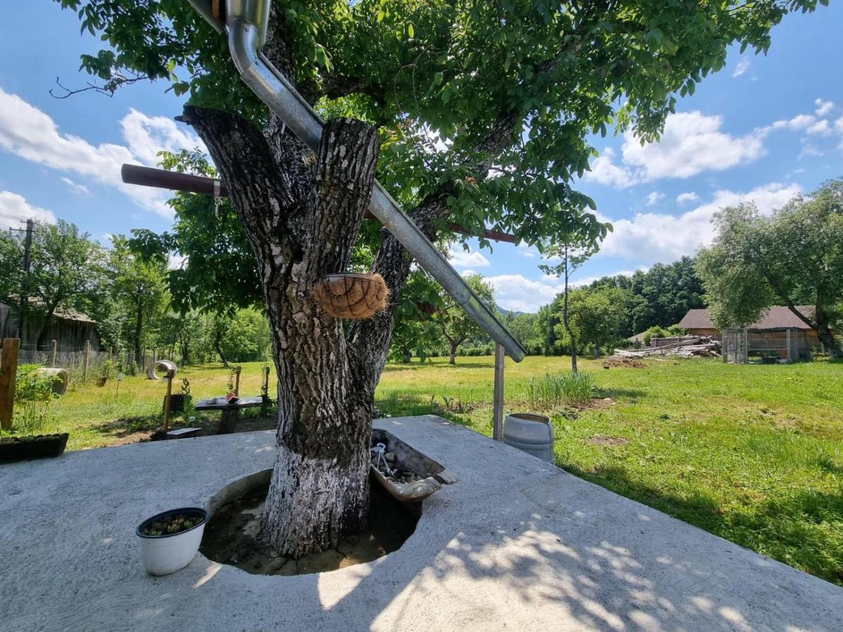 Casa Primitoare In Inima Naturii Si Padurii Rasca  Экстерьер фото