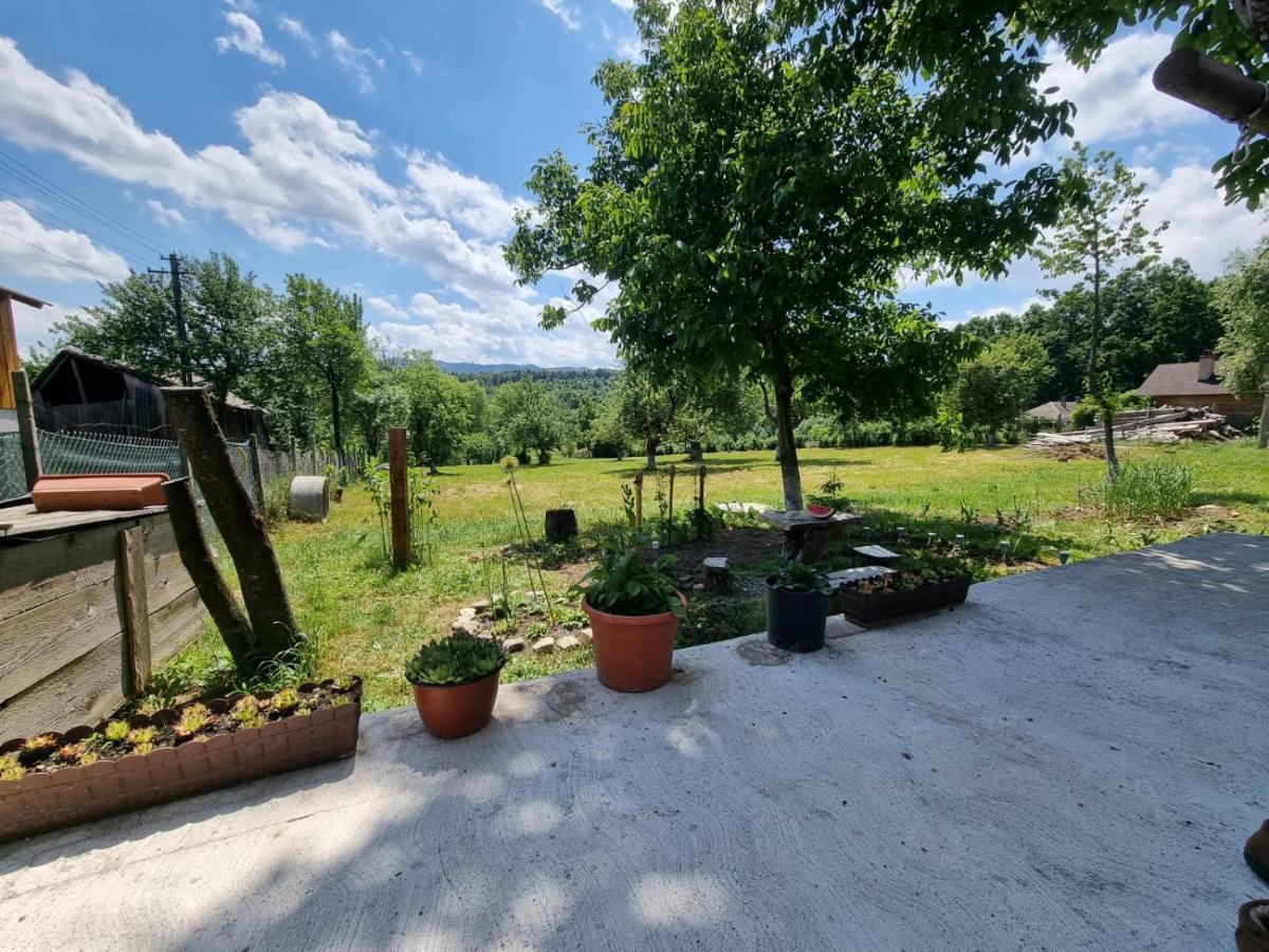 Casa Primitoare In Inima Naturii Si Padurii Rasca  Экстерьер фото