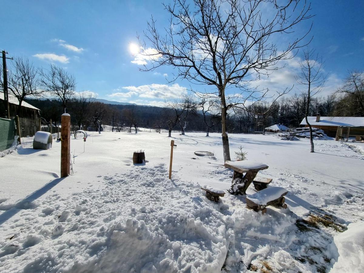 Casa Primitoare In Inima Naturii Si Padurii Rasca  Экстерьер фото